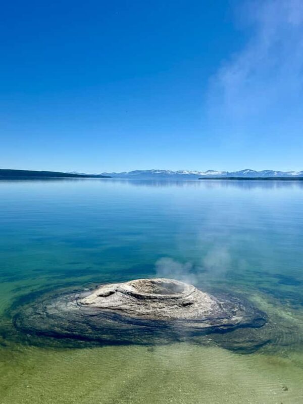 Private Sunset Safari of Grand Teton National Park - Key Points