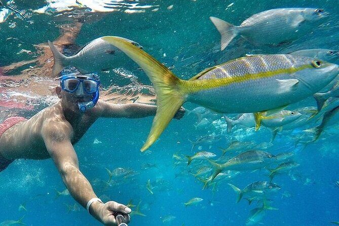 Private Sunset Sailing Experience (All Inclusive) - Key Points