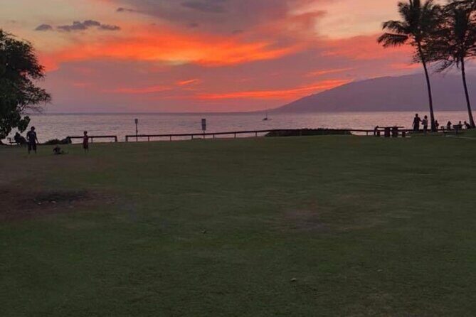 Private Sunset Surf Lesson in Kihei - Who Will Love This Experience?