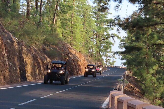 Private Sunset Tour in Tenerife - Discovering Tenerife’s Sunset by Buggy: An Adventure in Elegance and Nature