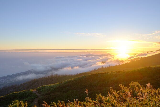 Private Sunset Tour with Food and Drinks in Fanal Forest - Frequently Asked Questions