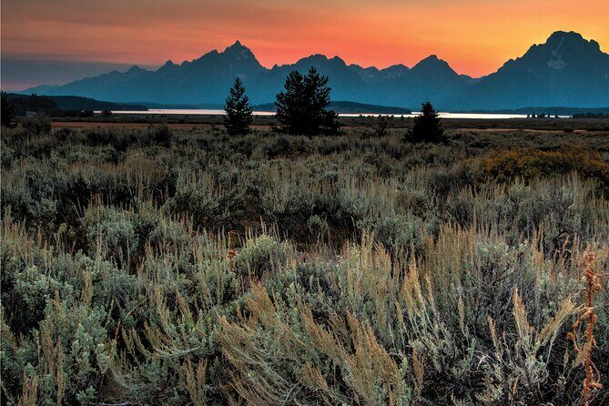 Private Sunset Wildlife Dinner Safari From Jackson WY - FAQ