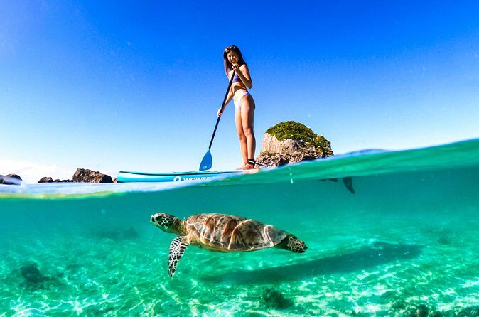 Private SUP Adventure Hidden Miyako Island Tour - Frequently Asked Questions