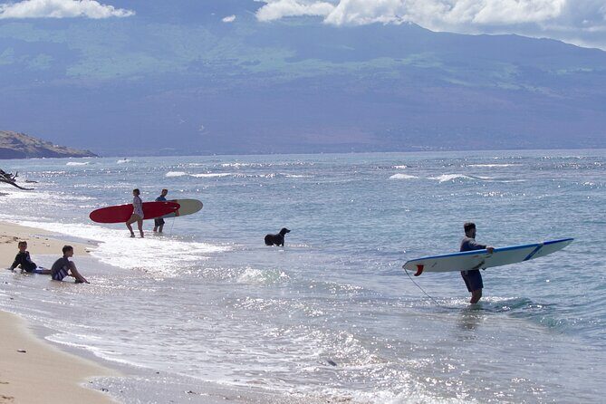 Private Surf Lesson for One Near Lahaina - Who Will Love This?