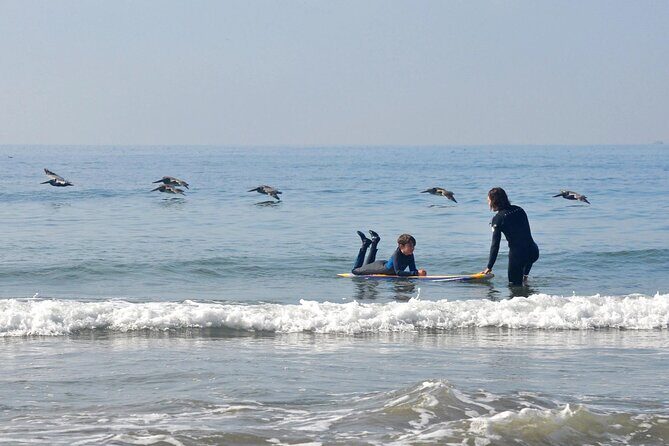 Private Surf Lesson in Santa Monica Bay St - Key Points