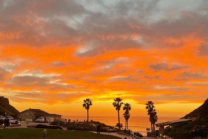 Private Surf Lesson Solana Beach Ride the Waves Fletcher Cove 2hr - Final Thoughts