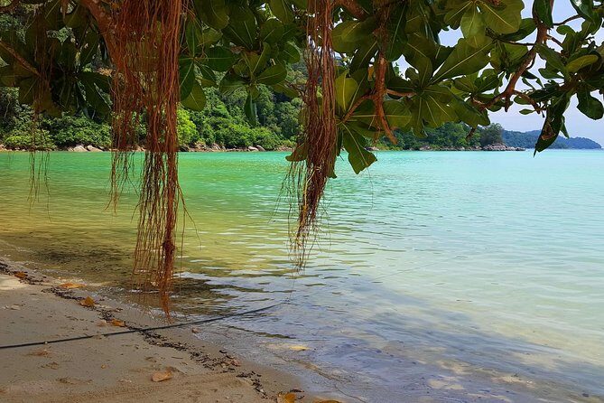 Private Surin Islands Longtail Boat Tour - Introduction: Discover the Surin Islands with a Private Longtail Boat Tour