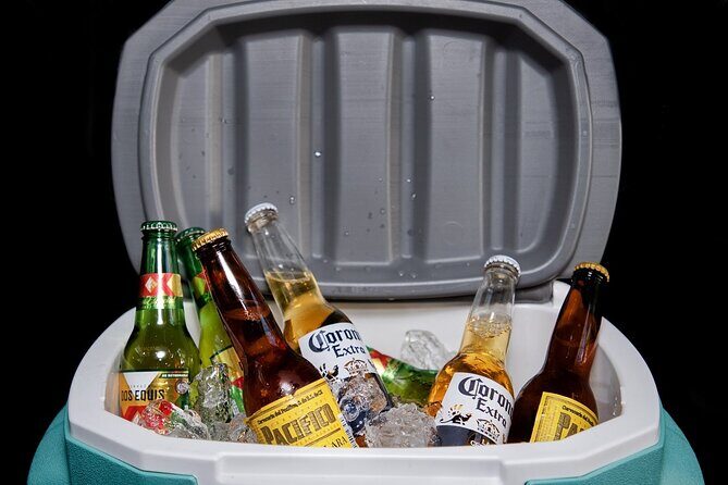 Private SUV Round-Trip from Airport to Four Seasons Resort Cabo - Who Should Book This Service?