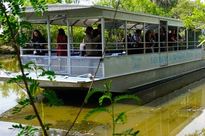 Private Swamp Tour on Pontoon Boat with Private Transportation - A Personal Take on the Private Swamp Tour on Pontoon Boat