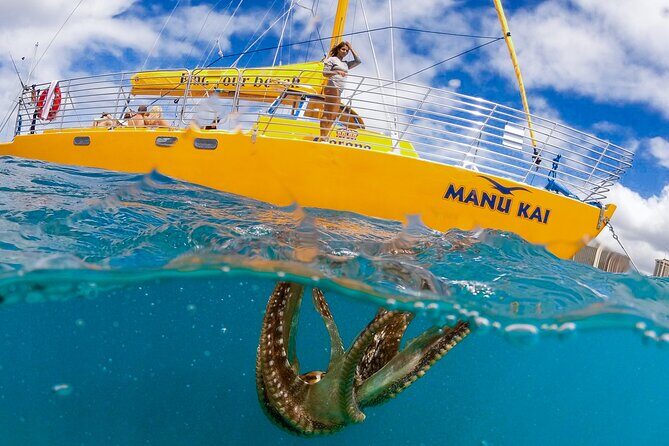 Private Swim and Sail Charter (Kewalo Harbor) - Who Will Love This Tour?