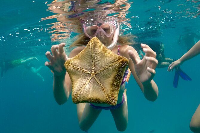 Private Swim and Sail Charter (Kewalo Harbor) - FAQ