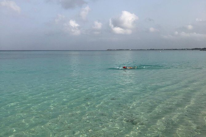 Private Swim Lesson or Triathlon Training on Seven Mile Beach! - Practical Details and Logistics