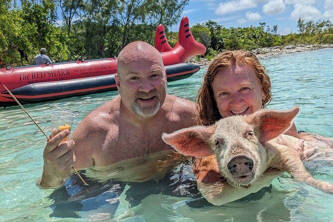 Private Swim With Pigs and Snorkeling in Paradise Tour - Key Points