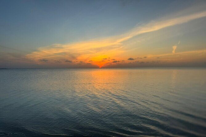 Private Swim With Pigs and Snorkeling in Paradise Tour - A Closer Look at the Experience