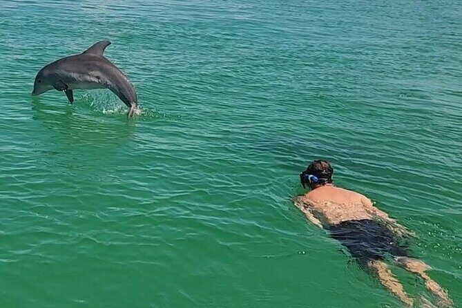 Private Swimming with Dolphins in Panama City Beach Florida - An In-Depth Look at the Tour Experience