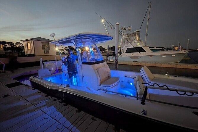 Private Swimming with Dolphins in Panama City Beach Florida - The Sum Up