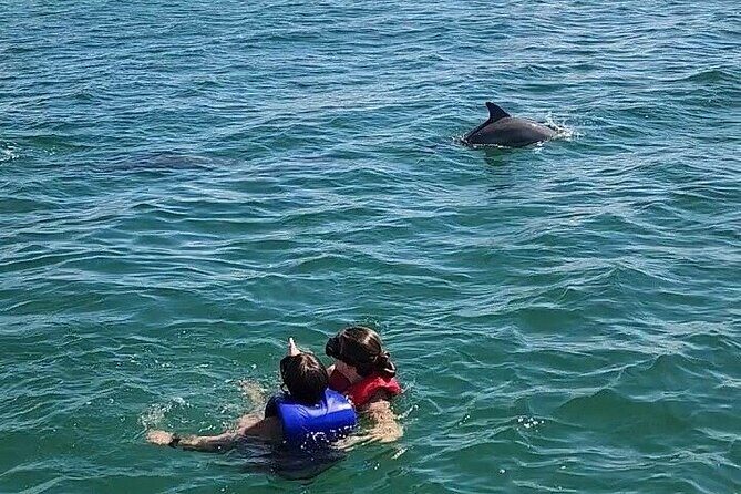 Private Swimming with Dolphins in Panama City Beach Florida - Frequently Asked Questions