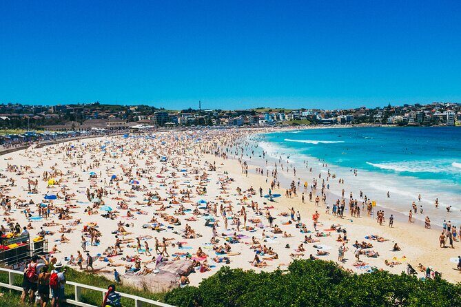 PRIVATE Sydney City Bondi Beach Opera House & Botanic Garden Tour - How the Tour Balances Value and Experience