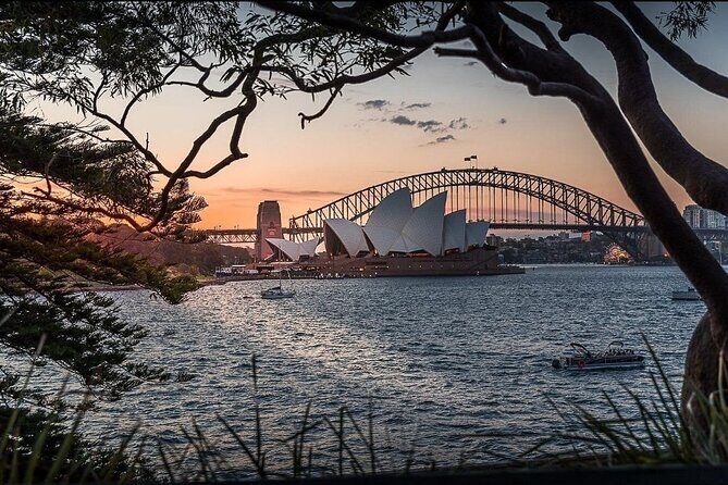 Private Sydney City Hidden Gem Half Day Tour - Key Points