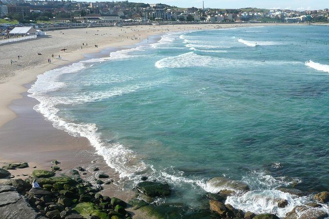 Private Sydney City Tour: The Key Attractions - In-Depth Look at the Itinerary