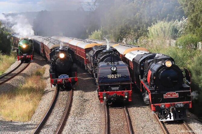Private Sydney Rail Tours - See Best Sights by Train - Key Points
