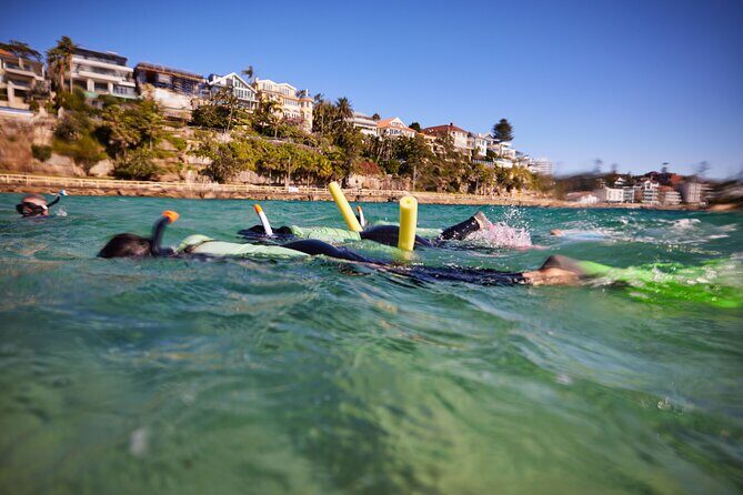 Private Sydney Snorkeling Experience: Explore Cabbage Tree Bay - The Value of a Private Guided Snorkel