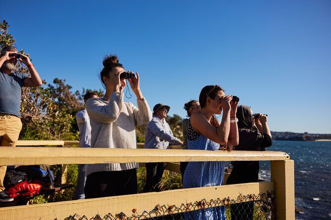 Private Sydney Snorkeling Experience: Explore Cabbage Tree Bay - The Sum Up
