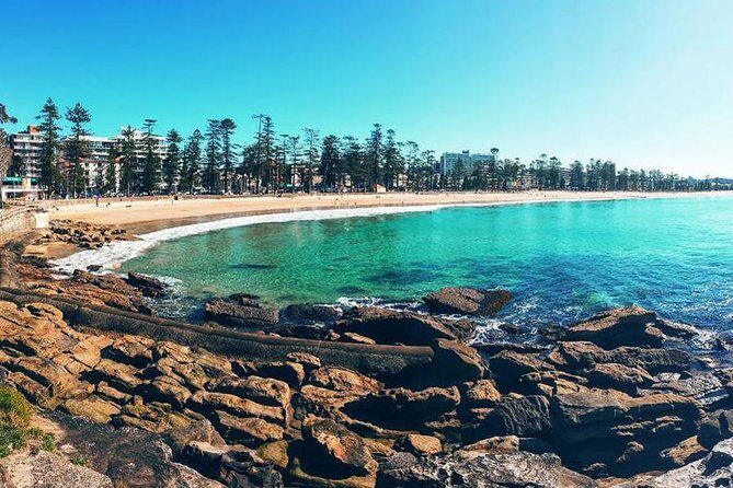 Private Sydney Tour Including Sydney Opera House, Bondi and Manly - Exploring Sydney with a Private Guide: A Deep Dive