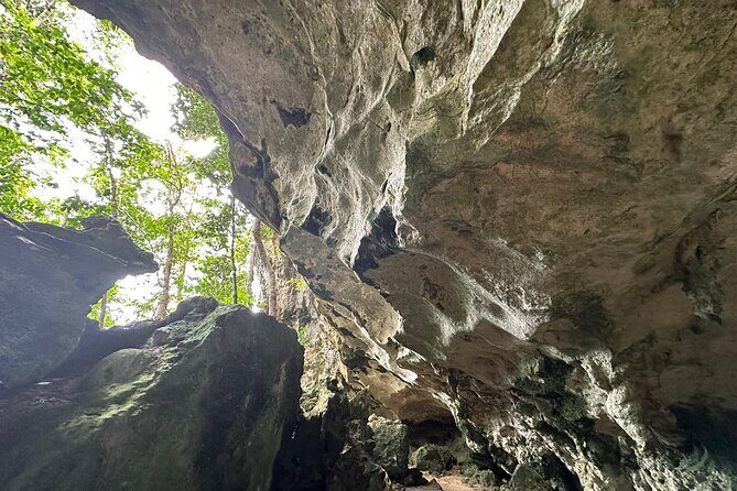 Private Tabon Cave Day Tour from Puerto Princesa City - The Itinerary in Detail