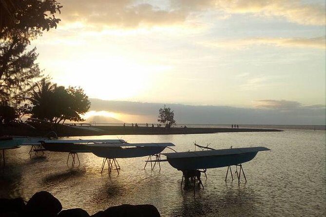 private Tahiti island discovery - An In-Depth Look at the Private Tahiti Island Discovery Tour