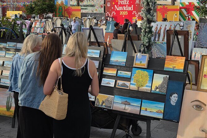 Private Tailor-Made Tour San José del Cabo - In-Depth Look at the Itinerary