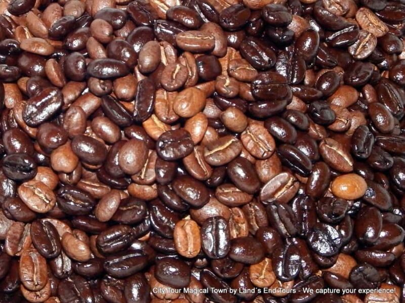 Private Tailor-Made Tour Todos Santos - Key Points