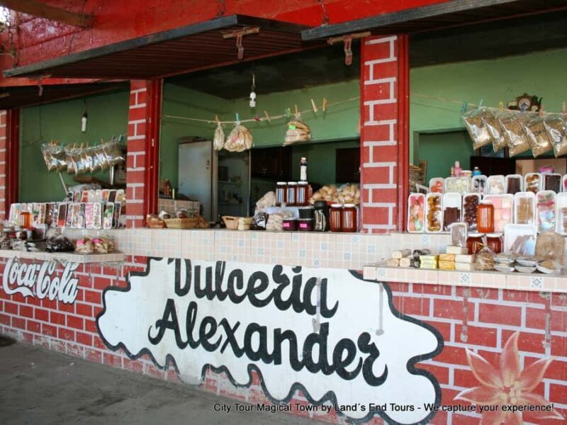 Private Tailor-Made Tour Todos Santos - The Sum Up: Who Should Book This Tour?