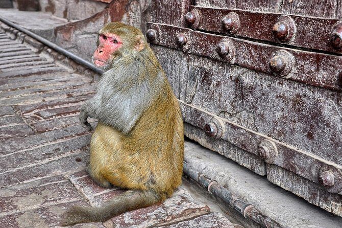 Private Taj Mahal & Agra Tour by Express Train From - Delhi - Who is This Tour Best For?