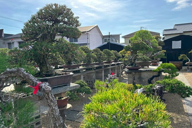 Private Takamatsu Busshozan Onsen Car Rail Tour - In-Depth Look at the Itinerary