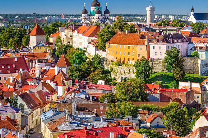 Private Tallinn Day Trip from Helsinki - A Deep Dive into the Tallinn Private Day Trip