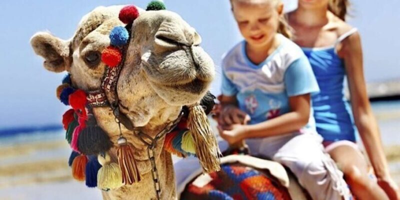 Private Tangier Tour from Gibraltar including Camel & Lunch - FAQ