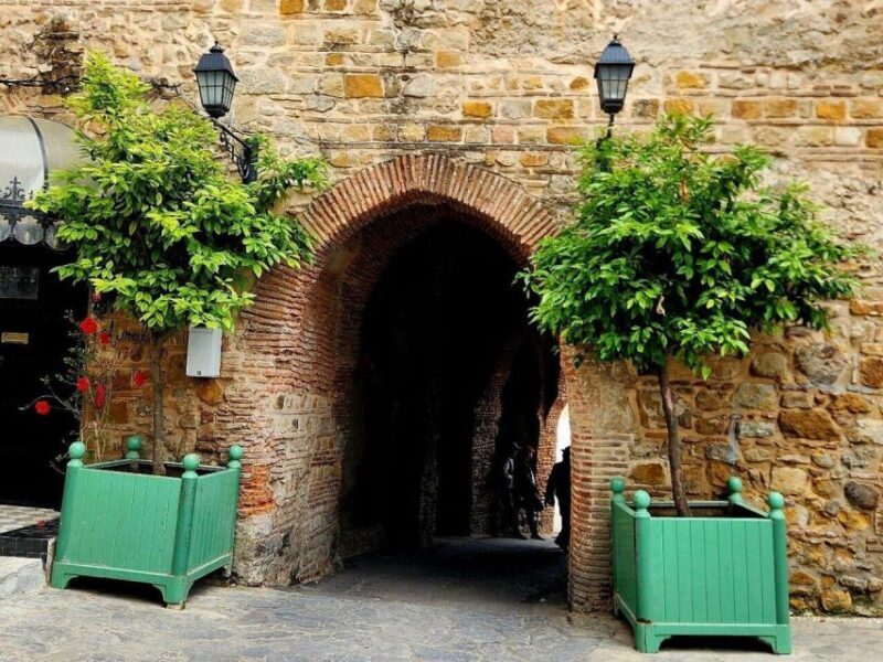 Private Tangier Tour with Lunch and Camel Ride - An In-Depth Look at the Experience