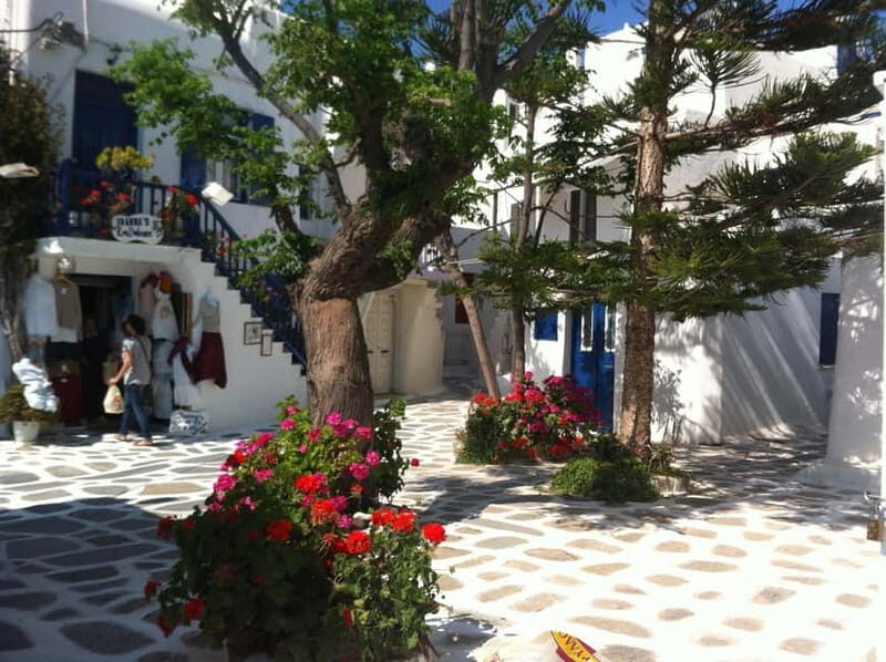 Private: Taste of Mykonos: Panoramic Views & Local Delights - Who Is This Tour Perfect For?