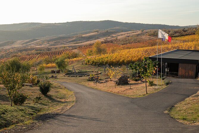 Private Tasting Expedition Along Romanias Most Famous Wine Route - A Deep Dive into the Private Tasting Expedition Along Romania’s Most Famous Wine Route