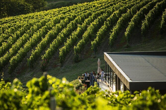 Private Tasting Expedition Along Romanias Most Famous Wine Route - Final Thoughts: Is It Worth It?