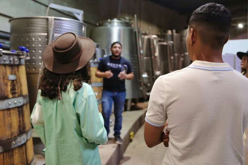Private Tasting in Valle de Guadalupe Winery - Private Tasting in Valle de Guadalupe Winery