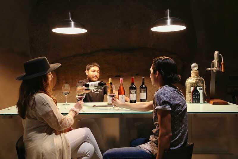 Private Tasting in Valle de Guadalupe Winery - Analyzing the Value
