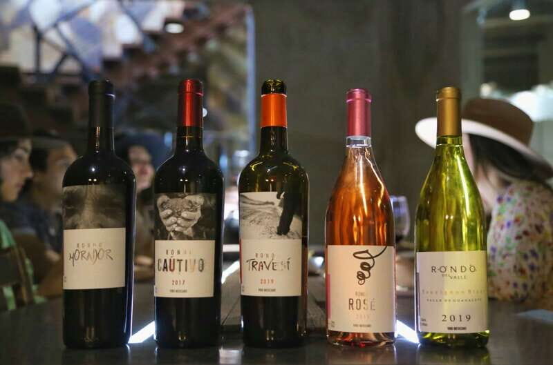 Private Tasting in Valle de Guadalupe Winery - Who Should Consider This Tour?