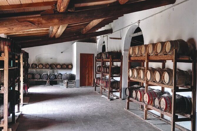 Private tasting of organic wines in the cellar in Arezzo - Who Should Consider This Tour?