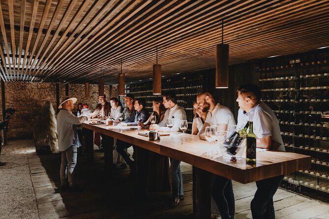 Private Tasting with Pairing in a Cava in Aguascalientes - A Unique Wine Experience in Aguascalientes: Private Cava Tasting with Pairing