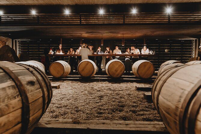 Private Tasting with Pairing in a Cava in Aguascalientes - Key Points