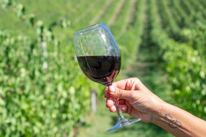 Private tastings at the Colombina Agricultural Company - Who Will Love This Experience?