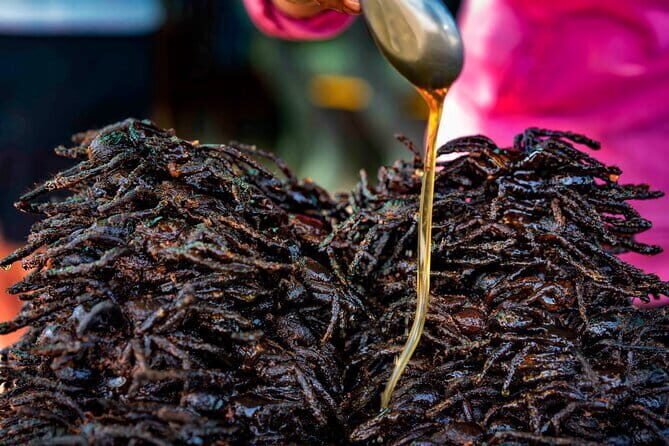 Private Taxi Phnom Penh To Siem Reap Include Floating Villages - Key Points