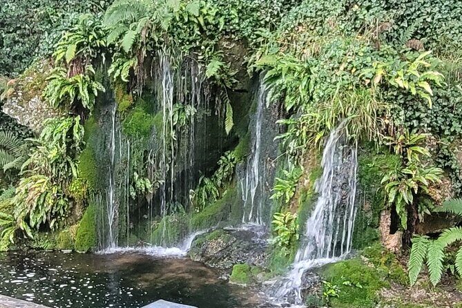 Private Taxi Tour of Blarney Castle ,Cork ,Kinsale 5 Star Rated - Transportation and Schedule